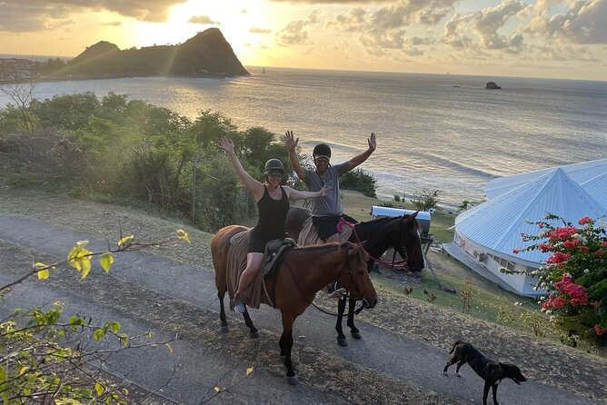 2 Hour Horseback Riding Sunset Tour with Dore's Riding Stable - Why the Horse-and-Sea Combination Works
