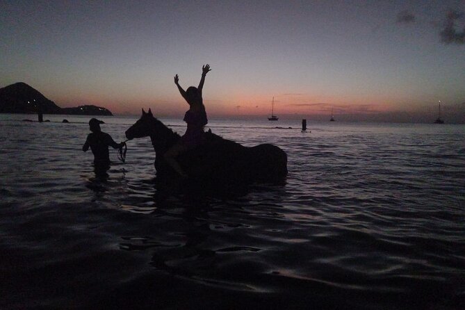 2 Hour Horseback Riding Sunset Tour with Dore's Riding Stable - The Sunset Swim With the Horses