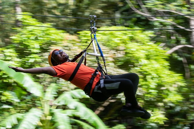 Adrena-Line Zipline, St. Lucia - Timing, transport, and the $63.75 price