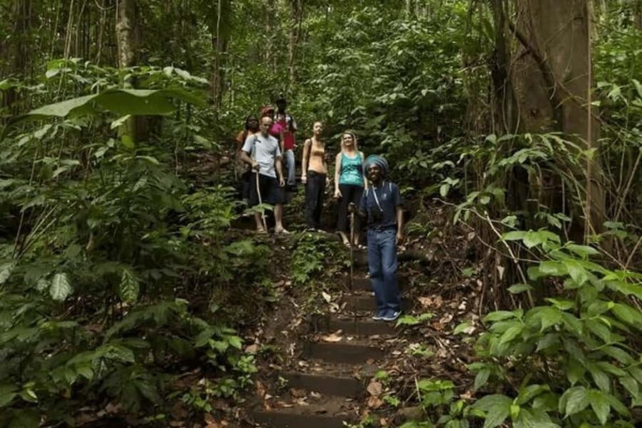Babonneau/Castries: Rainforest Zip Line, Tram, and Hike Tour - Nine platforms and eight lines in the canopy