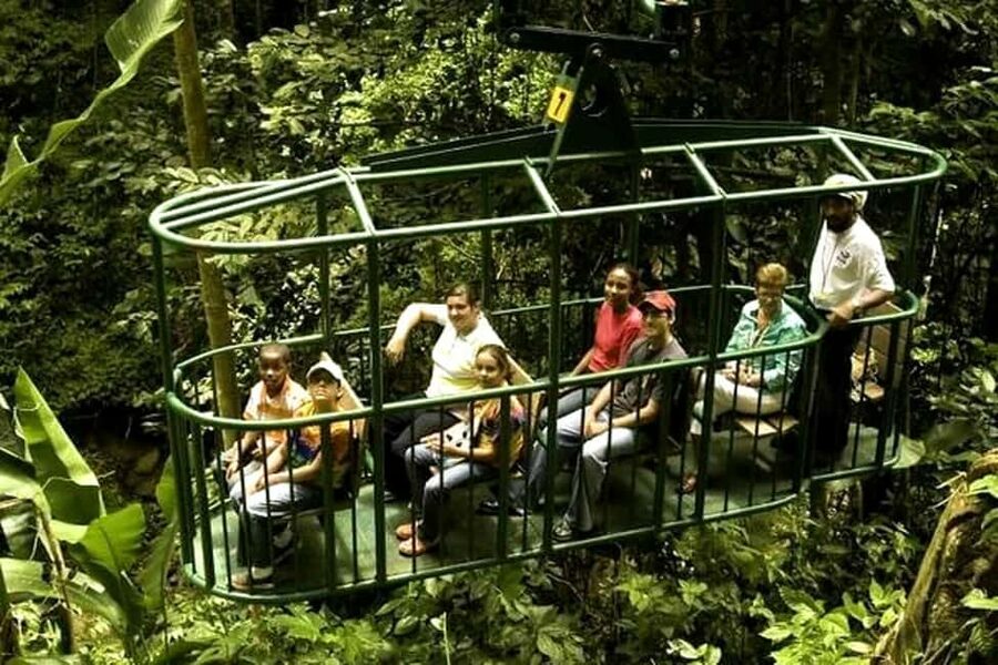 Babonneau/Castries: Rainforest Zip Line, Tram, and Hike Tour - The aerial tram gives you time to look around