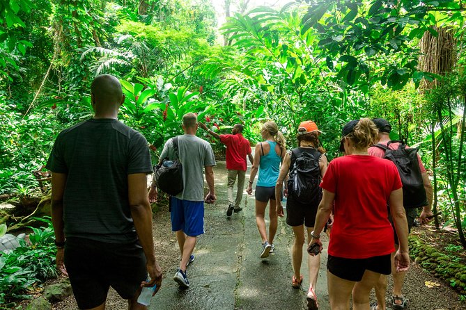 Best of Both Worlds Land and Sea Adventure - Sulphur Springs, St Lucia’s drive-in volcano