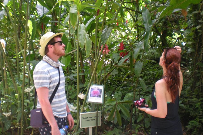 Best of Both Worlds Land and Sea Adventure - Marigot Bay and the return north