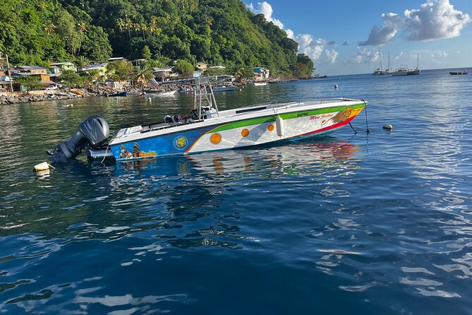 Best Of Full-Day Snorkeling & Beach Excursion with lunch & drinks - Coral gardens, Sugar Beach, and turtle reef
