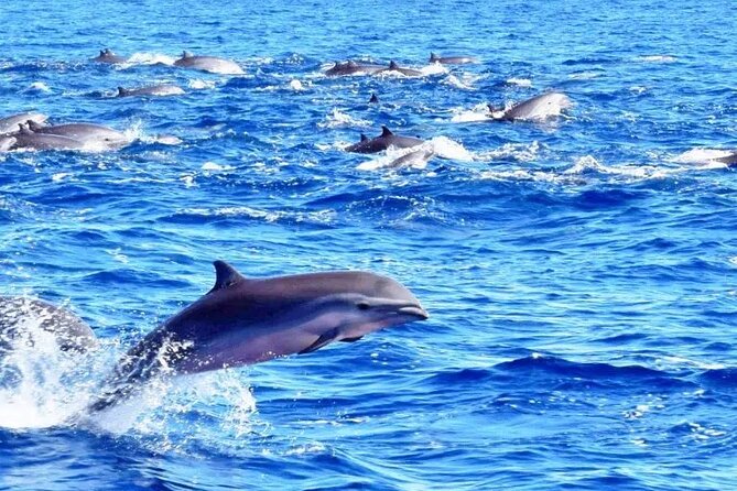 Best Of Full-Day Snorkeling & Beach Excursion with lunch & drinks - The cooler: water, soda, beer, and rum punch