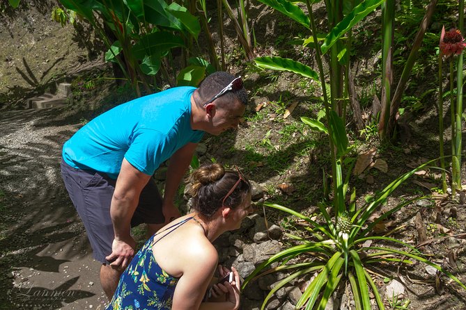Couples Private St. Lucia Highlights Tour - Toraille Waterfall and the rainforest road
