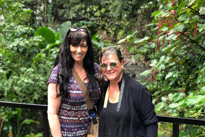 Cruise Excursions in St. Lucia - Diamond Falls Botanical Gardens for a quieter contrast