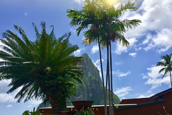 Cruise Port and Airport Arrival Transfers to Hotels in St. Lucia. - What the One- to Two-Hour Journey Feels Like