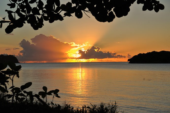 Cruise Sunset Party in Castries - Who should book this St. Lucia cruise?
