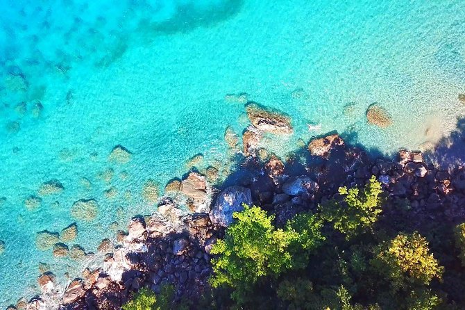 Dash and Splash Snorkel Adventure St Lucia - What you will see underwater