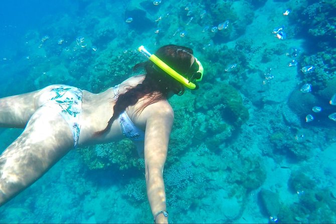 Dash and Splash Snorkel Adventure St Lucia - Captain Jason, Roland, and the private-boat advantage