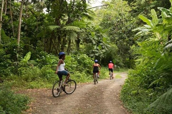Day of Adventure - Zipline and Hike or Bike - Who should book this adventure