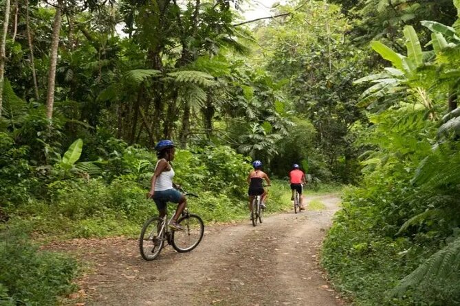Day of Adventure - Zipline and Hike or Bike - Simple ways to prepare