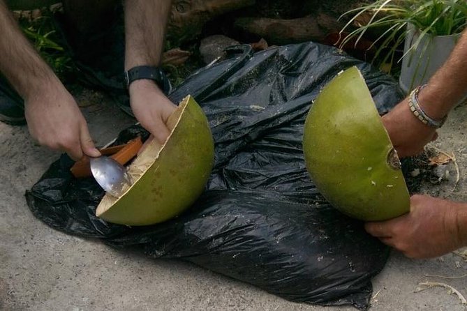 DIY Craft Your Own wooden Bowl : from a calabash fruit! - Meeting Mel and Ekie at Trouya Beach