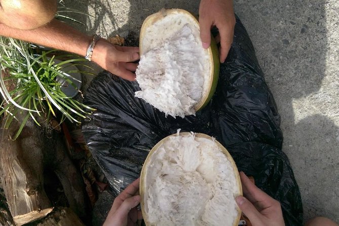 DIY Craft Your Own wooden Bowl : from a calabash fruit! - Is $39.48 a Good Value?