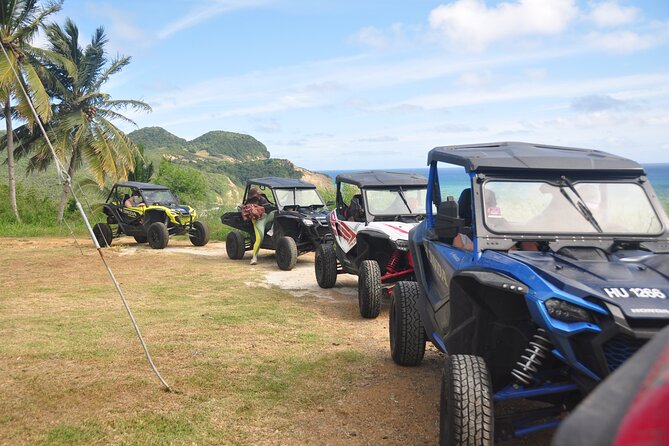 Drive and Fly - Buggy and Zipline - Treetop Adventure Park and the 12-zipline course
