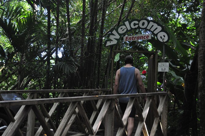 Drive and Fly - Buggy and Zipline - Is $225 a fair price?