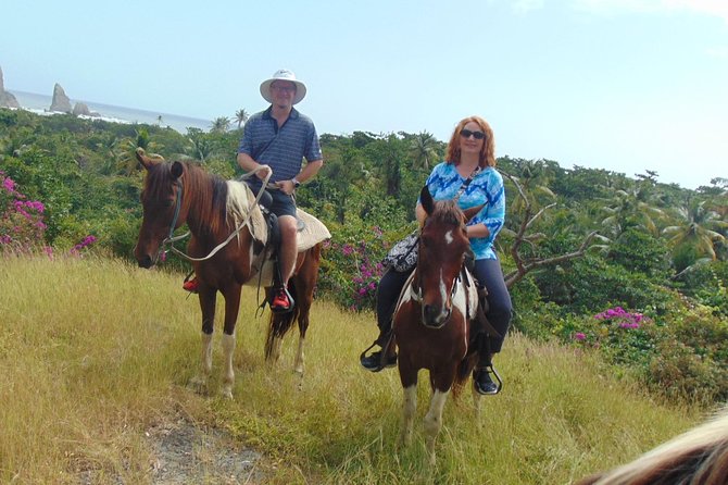 East Coast Horseback Riding & Waterfall Excursion - Pickup makes this easier from Rodney Bay or the port