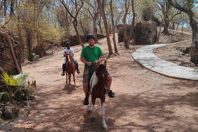 East Coast Horseback Riding & Waterfall Excursion - Is the $160 price good value?