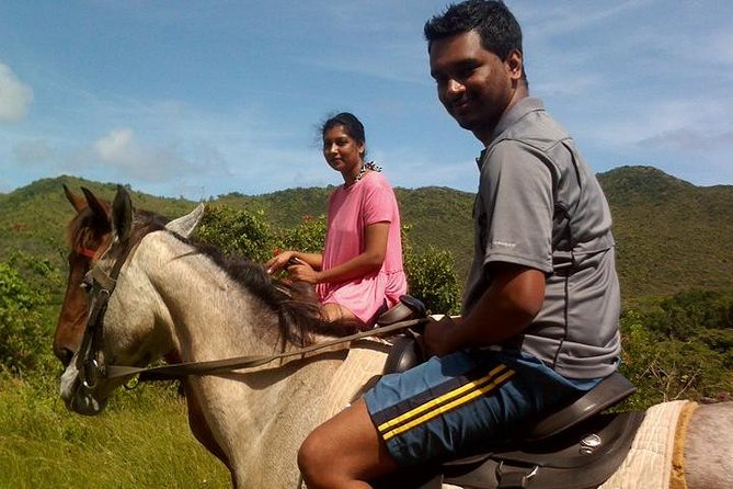 East Coast Horseback Riding & Waterfall Excursion - Who should book this east coast outing?