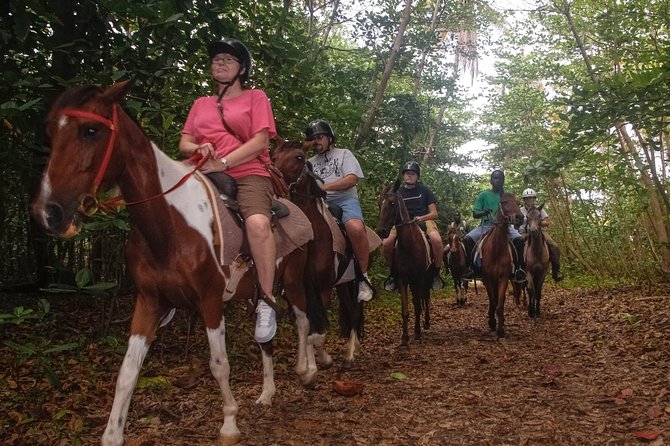 East Coast Horseback Riding & Waterfall Excursion - The beach stop brings the island close