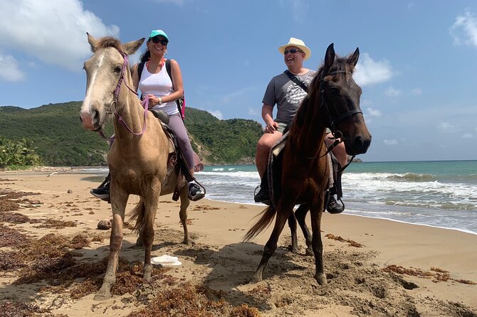 East Coast Horseback Riding, Waterfall & Soufriere Private Tour - Sault Falls, known by three names
