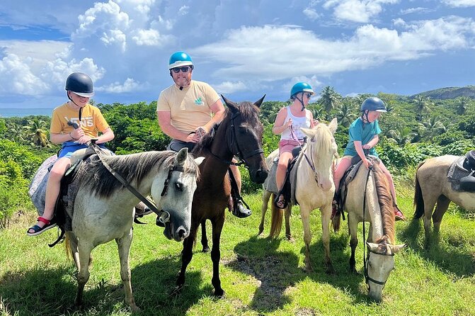 East Coast Horseback Riding, Waterfall & Soufriere Private Tour - Why the private format matters