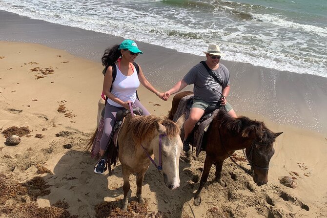 East Coast Horseback Riding, Waterfall & Soufriere Private Tour - FAQ
