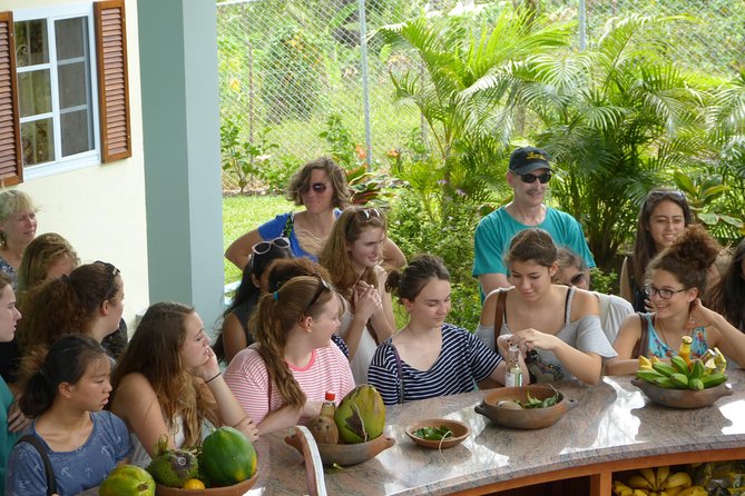 Essence of St Lucia Heritage Experience - Key points to know before you book