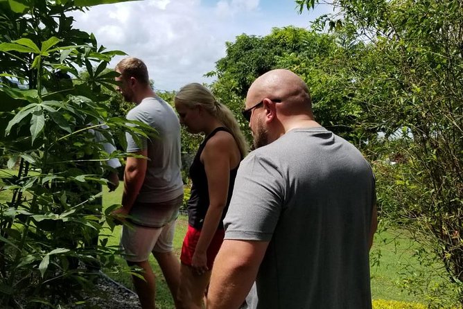 Essence of St Lucia Heritage Experience - Practical details that can affect your day