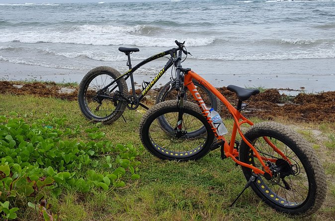 Extreme Outback Tour in St Lucia - Mud, rivers, beaches, and the Rocky Hill Climb