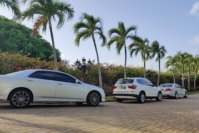 Fast Track (Expedited Arrival) & FREE Transfer To Hotel/Airbnb - Who should book this arrival service?