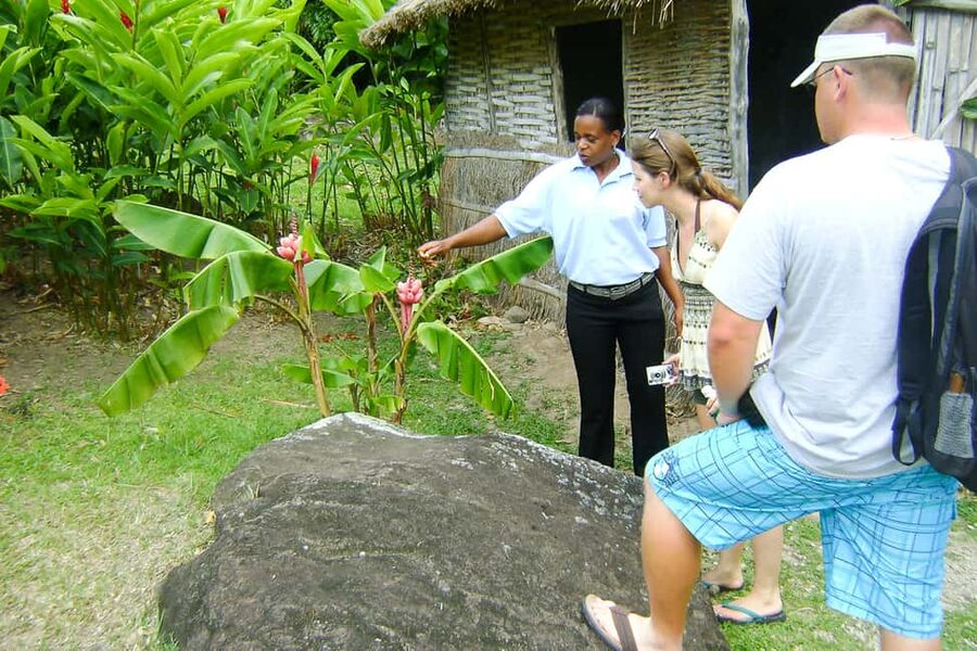 From Castries: Full-Day Catamaran Tour to Soufriere - Toraille Waterfall in a short half-hour stop