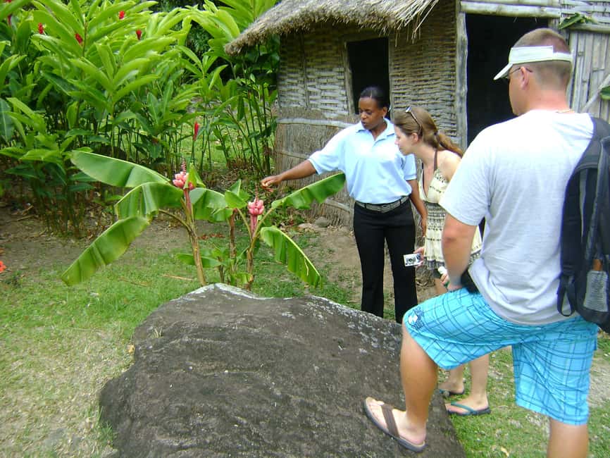 From Castries: Full-Day Catamaran Tour to Soufriere - Is the eight-hour catamaran tour worth $145?