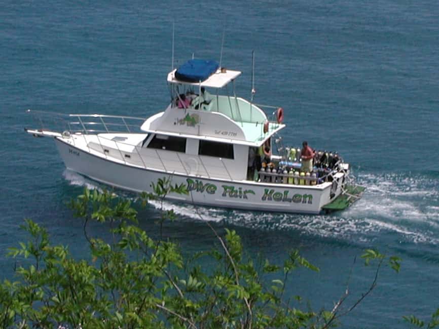 From Castries: St. Lucia Scuba Diving Excursion - What the five-hour outing is really about