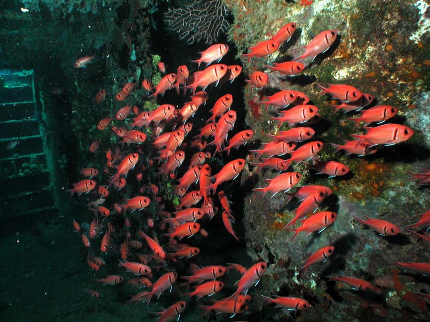 From Castries: St. Lucia Scuba Diving Excursion - A quick word on the limited public feedback