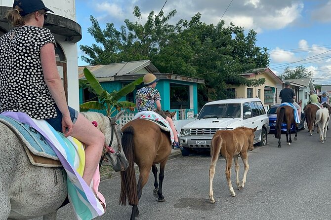 Gros Islet Village Horseback Riding run with Dore's riding Stable - Pigeon Pointe Beach and the road into Gros Islet