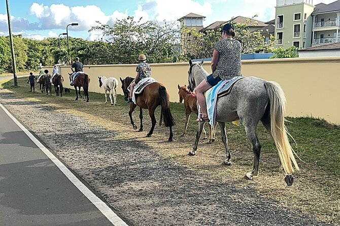 Gros Islet Village Horseback Riding run with Dore's riding Stable - Back to Cap Estate with a small group