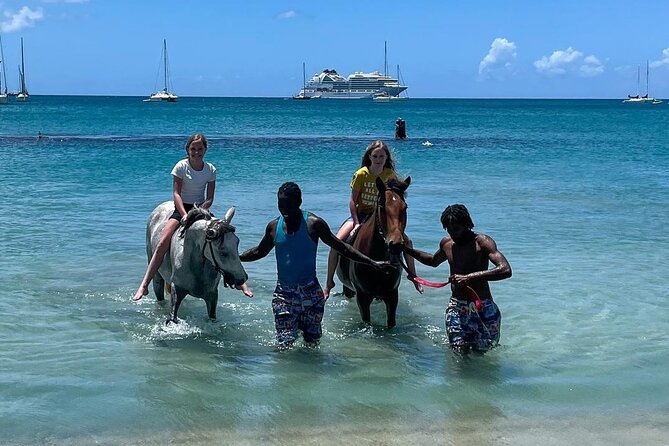 Gros Islet Village Horseback Riding run with Dore's riding Stable - A Piton beer stop at a local bar