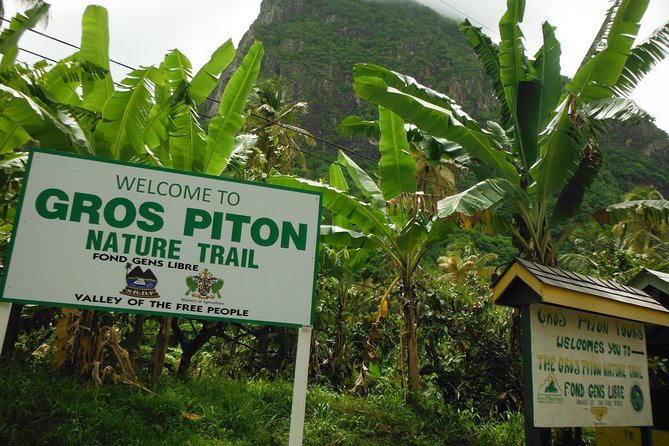 Gros Piton Hike with Dannyboy & Co. - The Local Guides Make a Big Difference