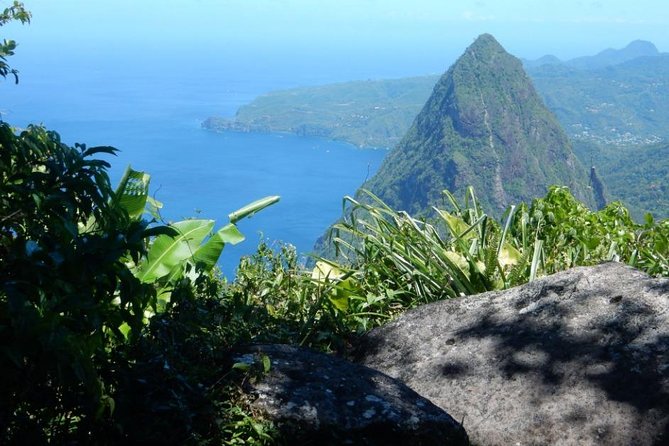 Gros Piton Hike with Dannyboy & Co. - What the $90 Price Really Covers