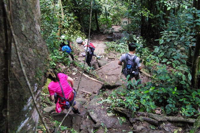 Gros Piton Hiking Adventure - Gros Piton is a hike first, sightseeing trip second