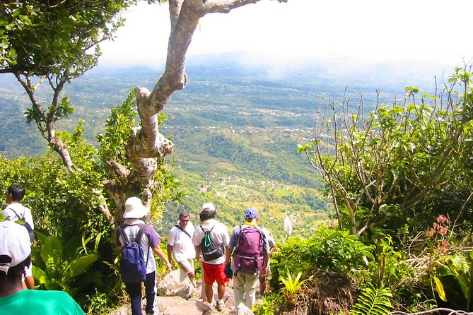 Gros Piton Hiking Adventure - The upper Gros Piton climb is the real test