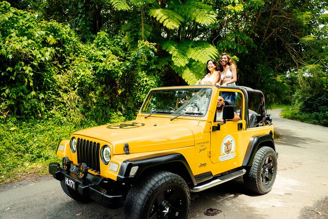Half Day Private Tour in St. Lucia Jeep Wrangler - Marigot Bay Starts the Scenic Run