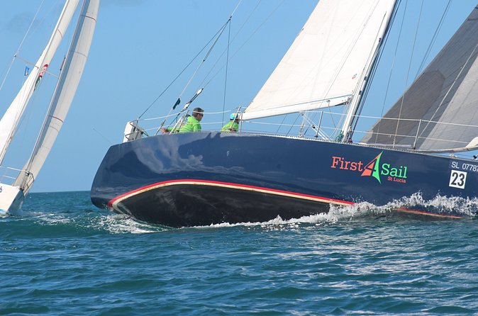 Hands on Sailing Tour in Rodney Bay St Lucia - How Much Value You Get for $150