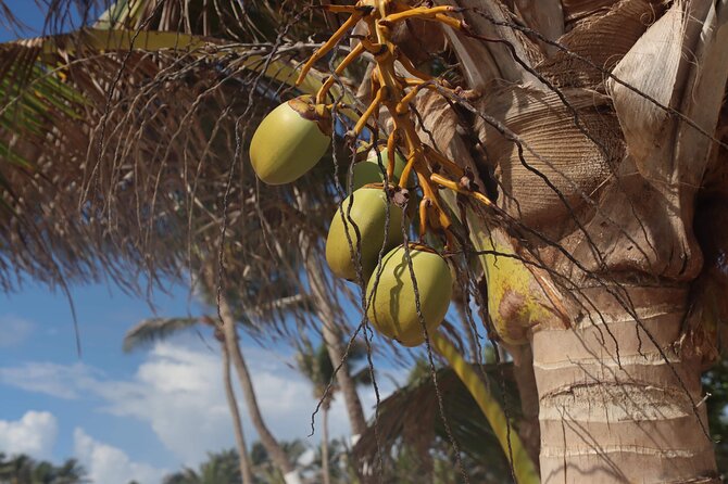 Hewanorra International Airport (UVF) Private St.Lucia Transfers. - Booking Details That Matter