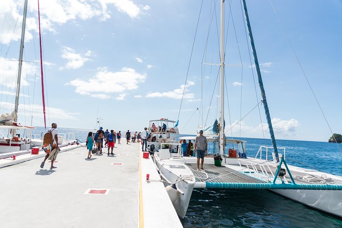 Hop & Drop Soufriere Transfer - What the $88 price really covers