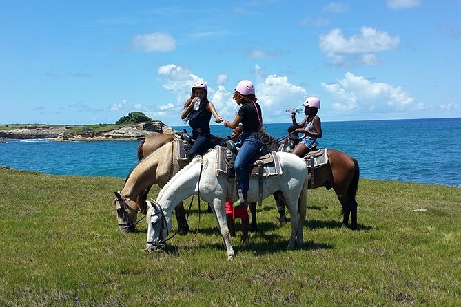 Horseback Riding Adventure Tour in St. Lucia - Key points to know before you saddle up