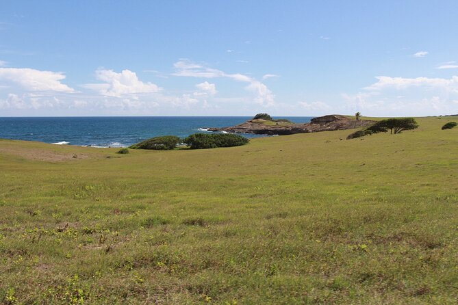 Horseback Riding Adventure Tour in St. Lucia - Two beaches and time in the water