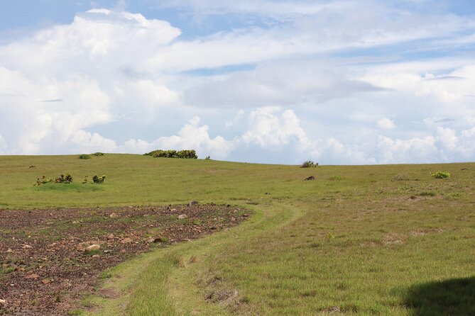 Horseback Riding Adventure Tour in St. Lucia - Private riding with drinks and snacks